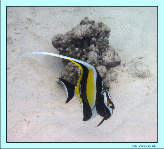 2009   07   Matakin 51